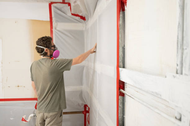 Best Environmental Consulting for Mold Prevention  in Malta, MT