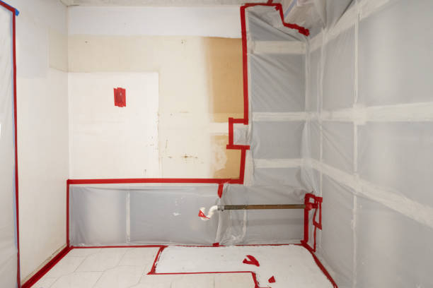 Best Biohazard Mold Removal  in Malta, MT