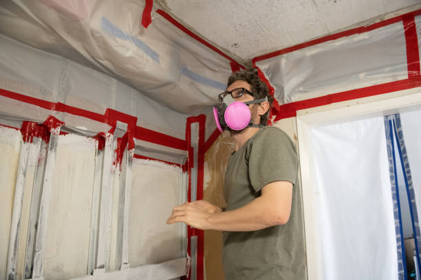 Best Emergency Mold Remediation  in Malta, MT