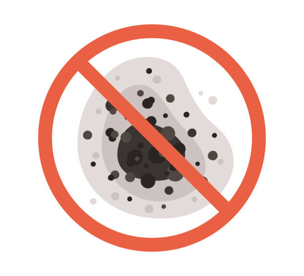 Best Mold Odor Removal Services  in Malta, MT